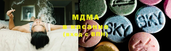 стаф Ельня