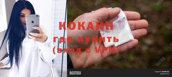 стаф Ельня