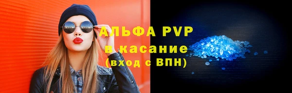 стаф Ельня