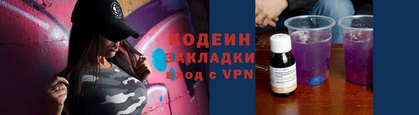молекула духа Елизово