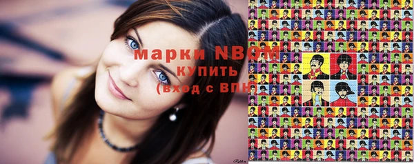 стаф Ельня