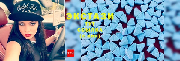 стаф Ельня