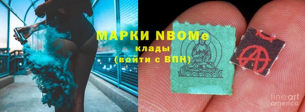 молекула духа Елизово