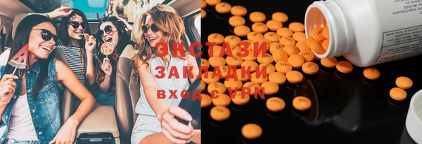стаф Ельня