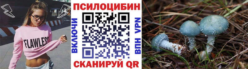 Галлюциногенные грибы мухоморы  mega ссылка  Хотьково 